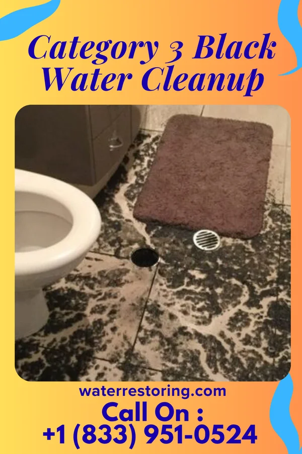 Category 3 Black Water Cleanup in Irwin, PA