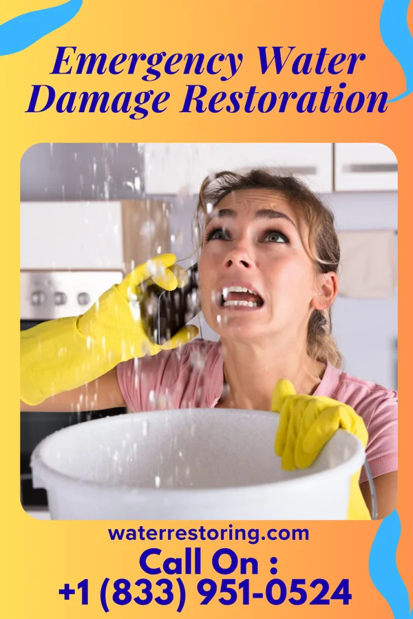 Emergency Water Damage Restoration in Irwin, PA