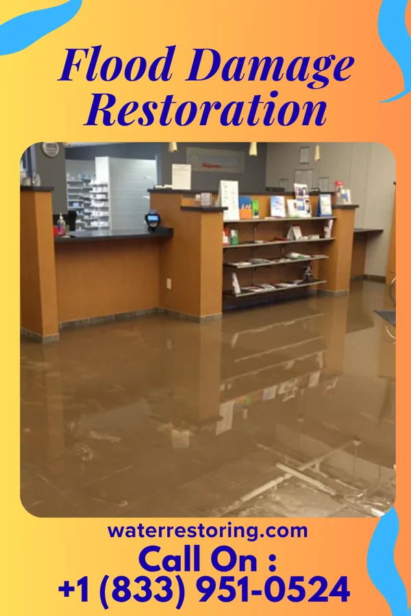Flood Damage Restoration in Irwin, PA