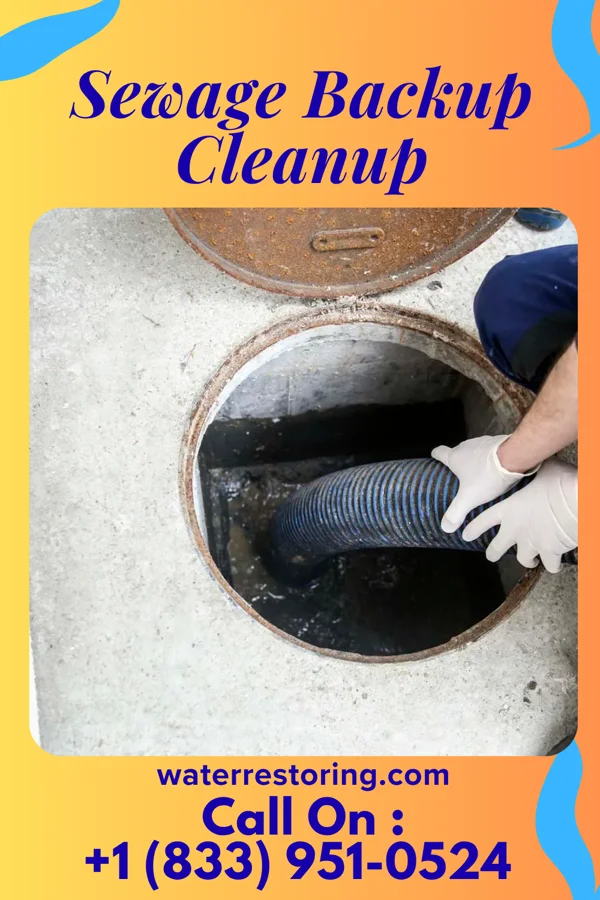 Sewage Backup Cleanup in Irwin, PA