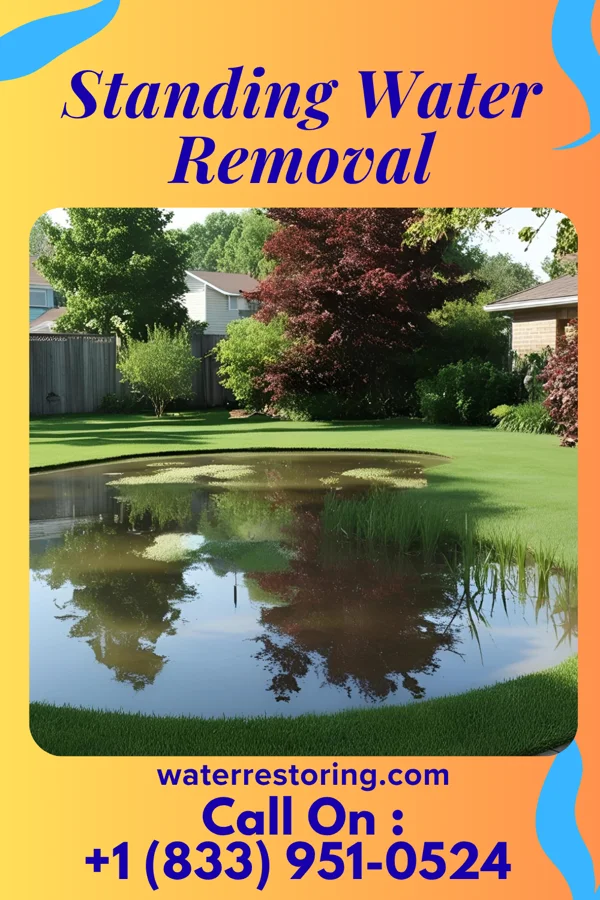 Standing Water Removal in Irwin, PA